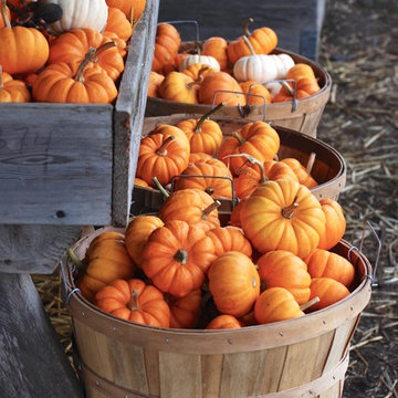 F A R M - Seasonal Autumn