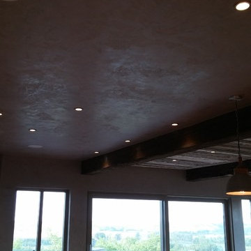Venetian Plaster Calgary-Artesia Community,Calgary SE