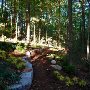 A Garden That Celebrates Light