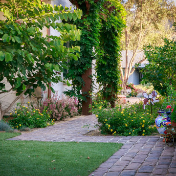 Jenko Project : Western Outdoor Designs