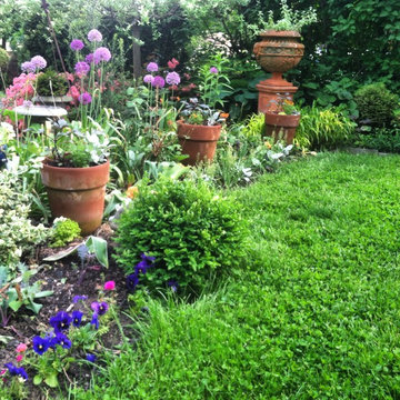 Colorful linear garden beds