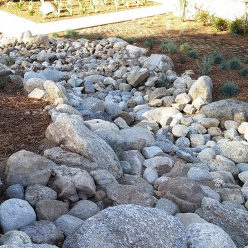 La Crescenta River Bed Project