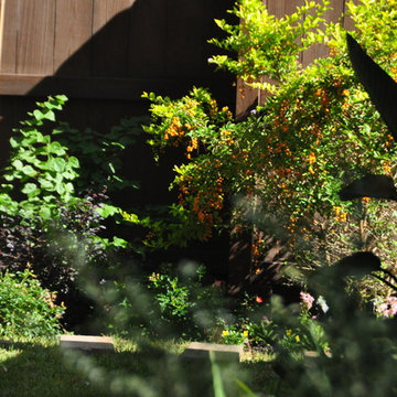 Made for the shade in Briar Forest