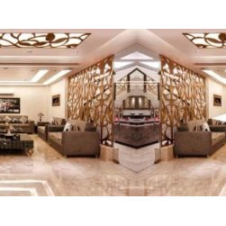 false ceiling - Products