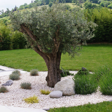 Zone minérale méditerranéenne