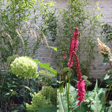 Jardin de ville 100m2 - Bruxelles -Jardin de chambres