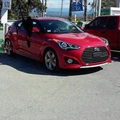 Nancy Velez's photo