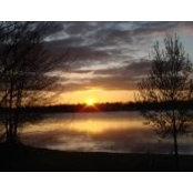 Lois Scheiwe's photo