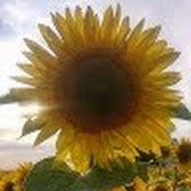 Trudy Hunter's photo