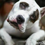Debbie Forrest's photo