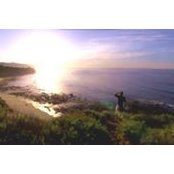 Nazar TelUk's photo