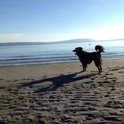 Erin Flynn-Renner's photo