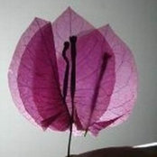 artinworld's photo