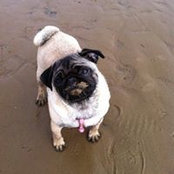 Lisa Smith's photo