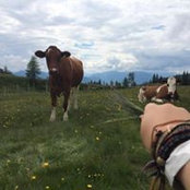 Shelby Henderson's photo