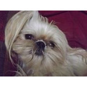 Marsha Phelps's photo