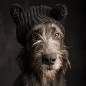 Foto von Павел Кулаков