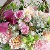Bouchra Boughaba's photo