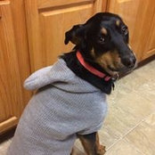 Beverly Powden's photo