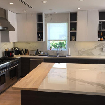 Contemporary Flat Panel Kitchen