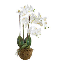 Faux Plants