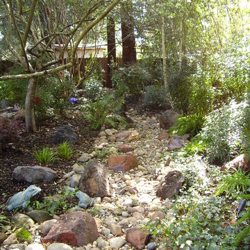 Larkfield Woodland Wonder