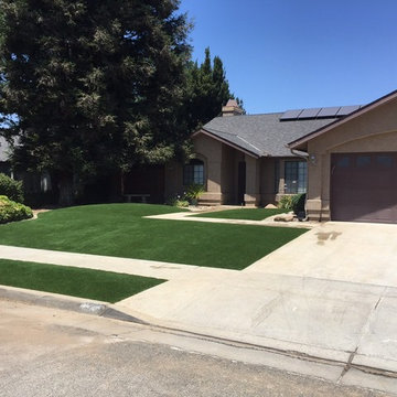 El Paso Waterless Grass Transformation