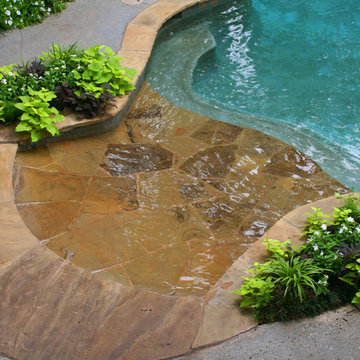 Lush Backyard Landscape with Pool