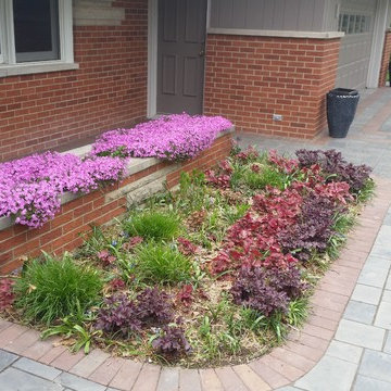 sycamore mulch-less conversion