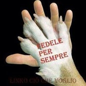 Luigi Perciballi's photo