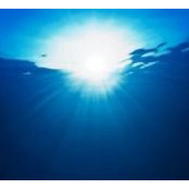 Natalie Barton's photo