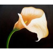 Yvonne O Neill's photo