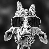 Ane Gaudert's photo