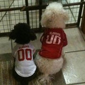 Angela Sager Holifield's photo