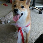 Mark Song's photo