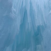 Joan Davidson's photo