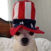 Darlene Chess's photo