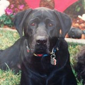 Gail O'Brien's photo