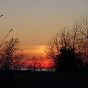 Anette Louise's photo