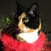 Cindy Marshall's photo