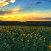 Eva Hernandez's photo