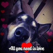 Keri Whitehead's photo
