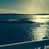 Stacy Freeman's photo
