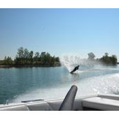 Sandy Maffeo's photo