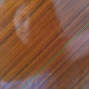 Elizabeth Raphael's photo
