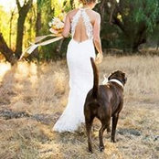 Whitney Conway's photo
