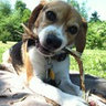 Rob Graham's photo
