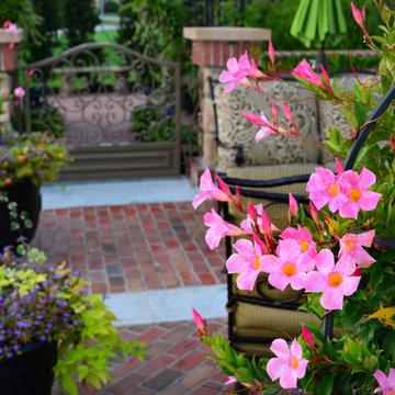 Corner lot Courtyard