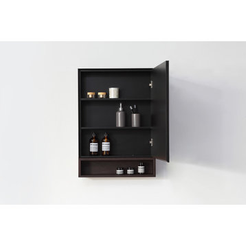 Bergen Modern Medicine Cabinet, Matte Black Frame, Dark Walnut Shelf, 24"