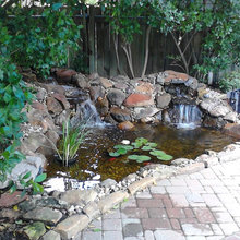 pond